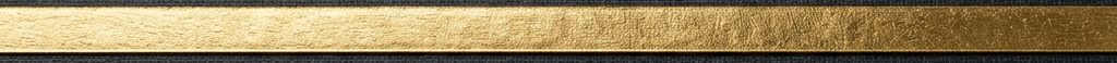 Minimal thank you banner with gold dividing line